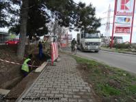 Imagine atasata: LEA 110KV Calea Lipovei - 2015.03.31 - 28.jpg